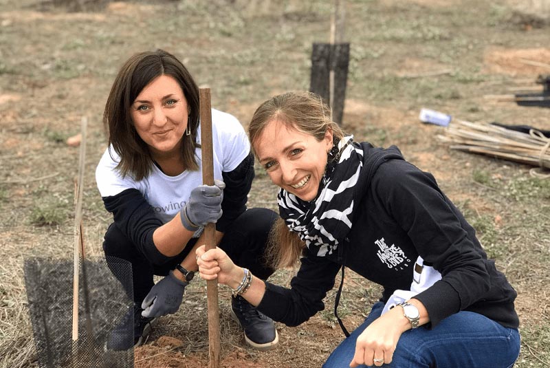 Team Microsoft planting trees