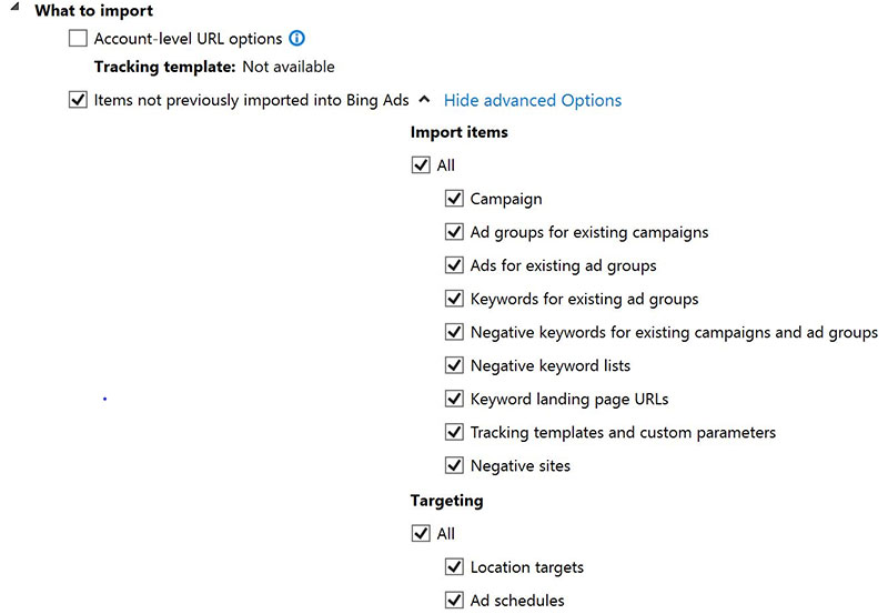 Product view of Bing Ads Editor Google Ads import options checkboxes.