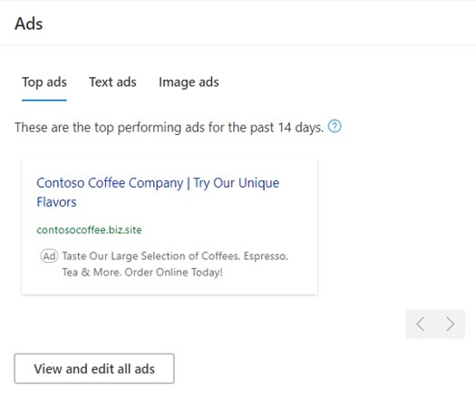 Product view of the Top ads tile for your campaign.