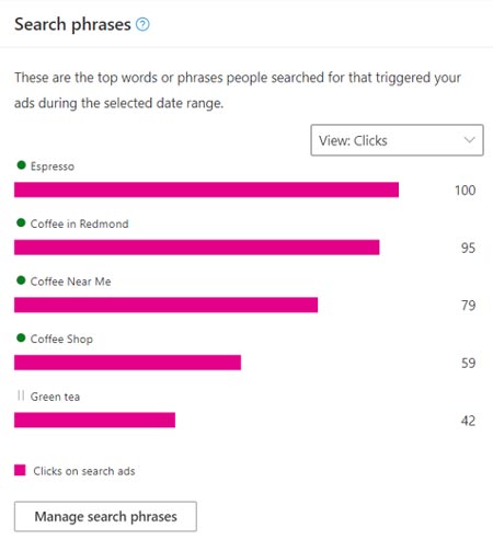 Product view of the Top search phrases tile for your campaign.