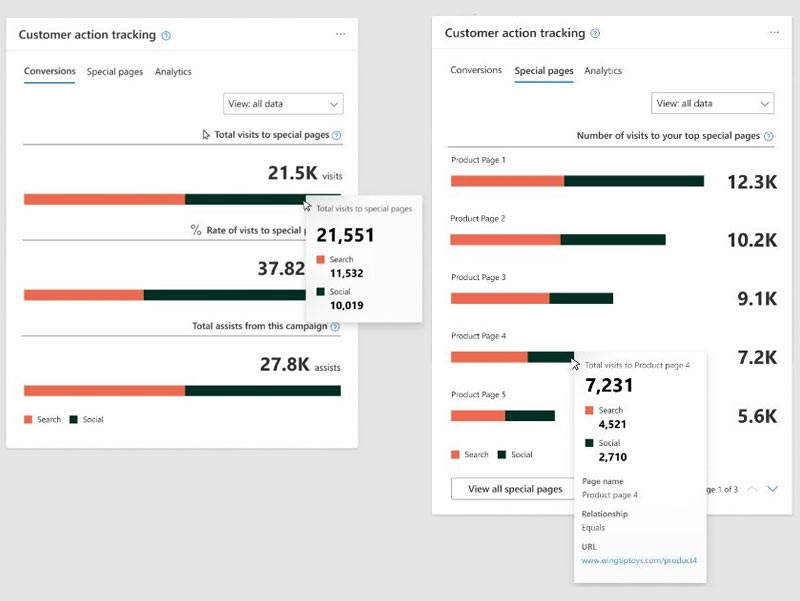 Product view of the customer action tracking windows for conversions and special pages.