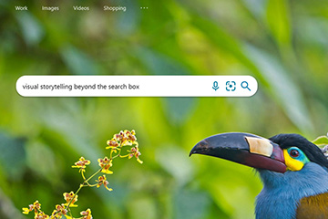 Microsoft Bing homepage showing a toucan as the background image and the text in the search box reads visual storytelling beyond the search box.