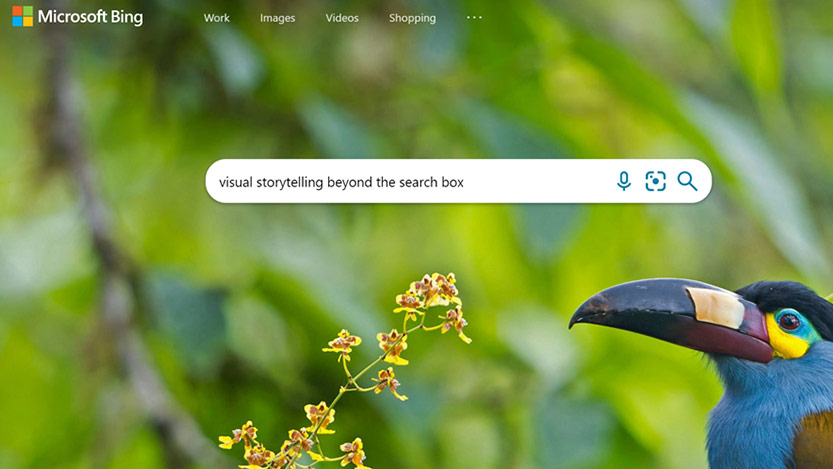 Microsoft Bing homepage showing a toucan as the background image and the text in the search box reads visual storytelling beyond the search box.