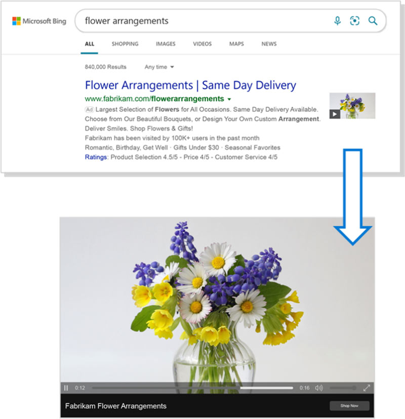 Example of how Video Extensions appear on the search results page with an expanded view of the sample video.