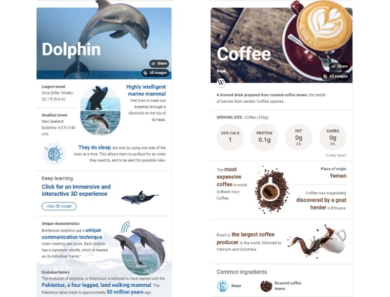 Examples of visual Microsoft Bing search results for Dolphin and Coffee.