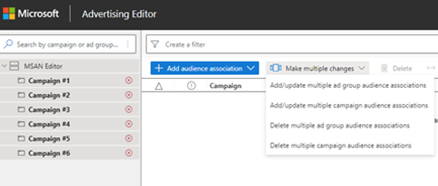 Audience settings in Microsoft Advertising Editor.