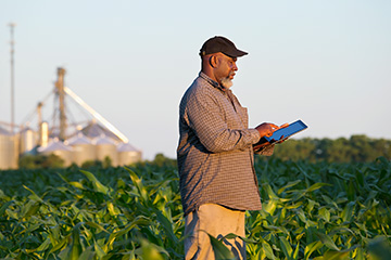 A man uses a tablet in a green field.