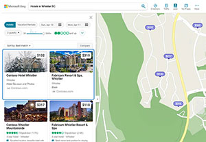Snapshot of sample Hotel Price Ads search results page.